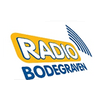 radio-bodegraven-1078