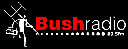 bush-radio-895