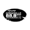 radio-grenouille-888