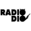 radio-dio-895