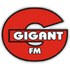 gigant-fm-1047