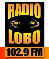 kiwi-radio-lobo