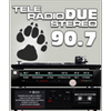 teleradiostereo-due-907