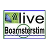 radio-boarnsterstim-1056