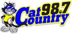 wyct-cat-country-987