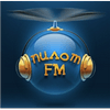 ПИЛОТ FM 101.2 (Pilot FM)
