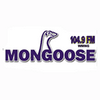Mongoose FM 104.9