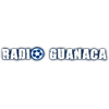 radio-guanaca-1069