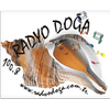 radyo-doga-1008
